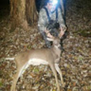 Meet your Posher, Ralph